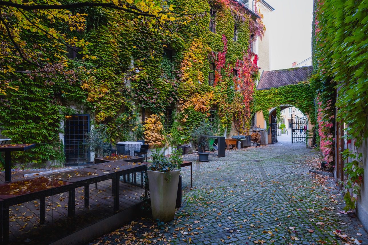 Сад Restaurant & Herberstein Bar